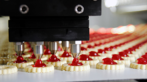 Biscuits being made in a food factory
