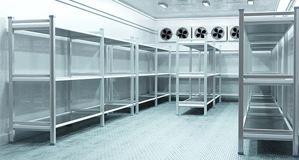 Interior of a pharmaceutical chiller cold room with shelving for medicines