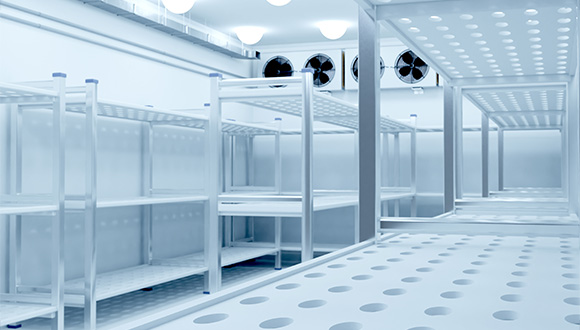 Industrial cold storage space with shelving for pharmaceutical product