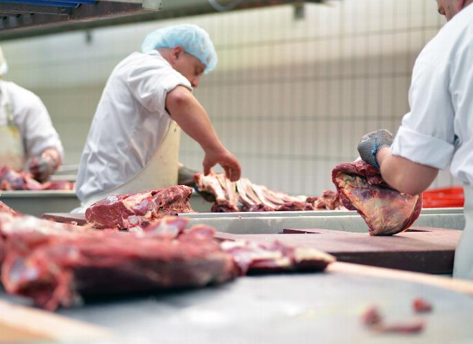 Why UK Farmers Are Struggling with Abattoir and Butchery Access - And What It Means for the Industry UK farmers are struggling with abattoir and butchery access due to a sharp decline in local facilities, increasing demand on fewer processing sites, rising costs, and ongoing labour shortages. This has created a bottleneck across the livestock supply chain, leading to delays, reduced profitability, and growing operational pressure.